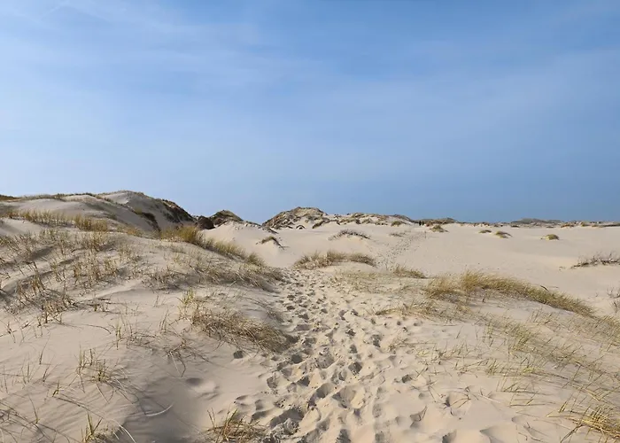 Vakantiehuis Sleep Space 2 - Tiny Spot Amrum Suddorf