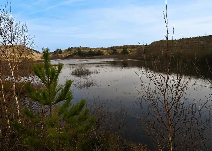 Vakantiehuis Sleep Space 2 - Tiny Spot Amrum Suddorf